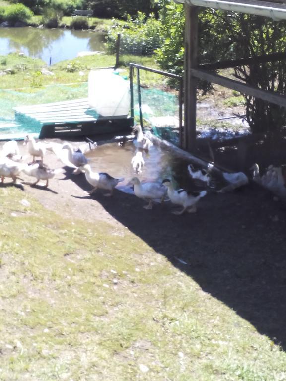 Ferme Auberge A La CollineFerdrupt エクステリア 写真