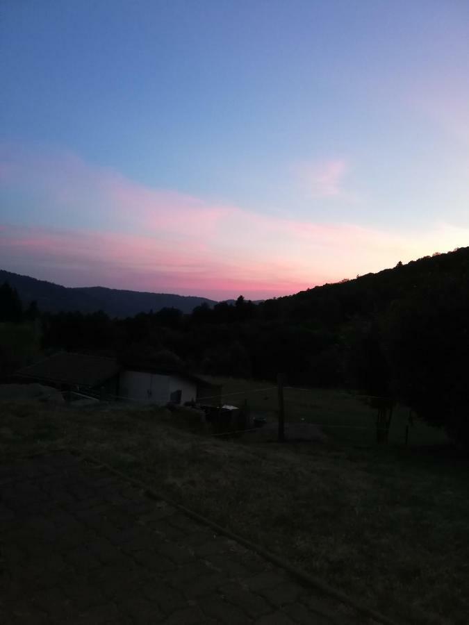 Ferme Auberge A La CollineFerdrupt エクステリア 写真